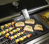 202048 weber grillicht 2.jpg